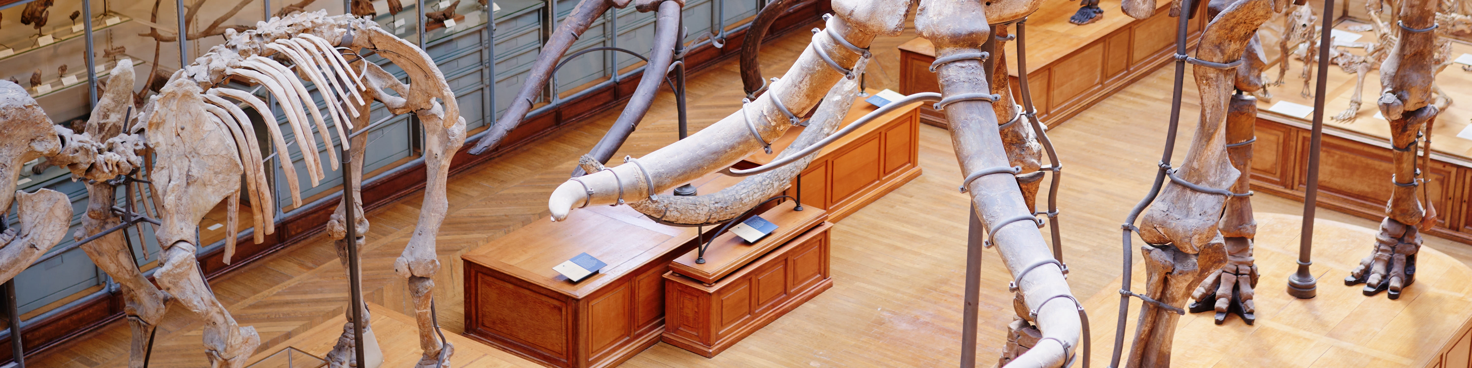 Measuring instruments for Natural history museums | KERN & SOHN Partner
